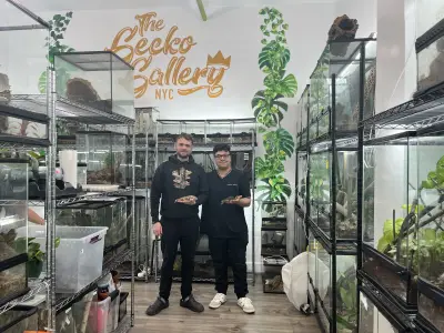 A new display of rare geckos is coming to East Williamsburg